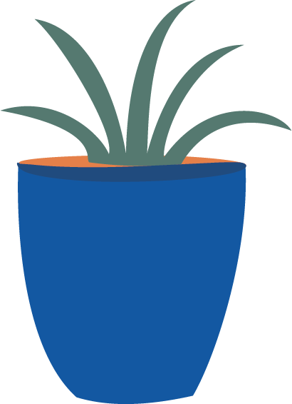 Pot Plant